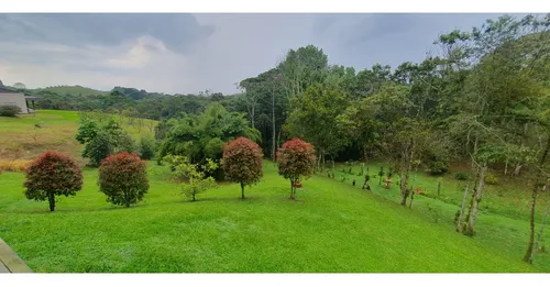 Venta Casa Condominio Campestre Filandia - 1.8 Cuadras