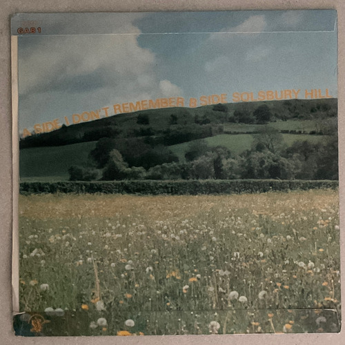 Peter Gabriel Solsbury Hill I Don't Remember Vinilo Single 7 Edición Limitada (Usado)