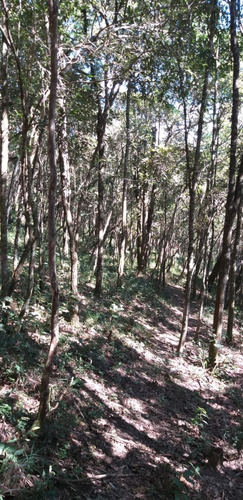 Chácara - 4.000 Mts. - Mato Dentro-mairiporã/sp.
