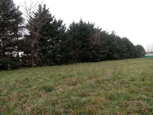 Lotes En Venta En La Lonja, Pilar