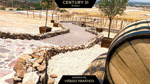 Imagen 11 de 17 de Terrenos Residenciales Premium En Suburbio Tzinacua / Silao, Gto.