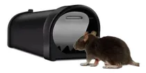 Comprar Trampa Tubular De Captura Para Roedores (caja 20 Unids.)