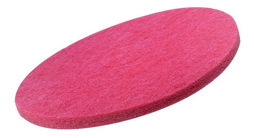 Disco Limpieza Pads 19'' (maquinas Abrillantadoras) X3 Un