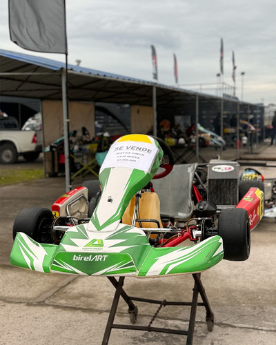 Karting Dd2 Motor Rotax, Modelo Birel Art