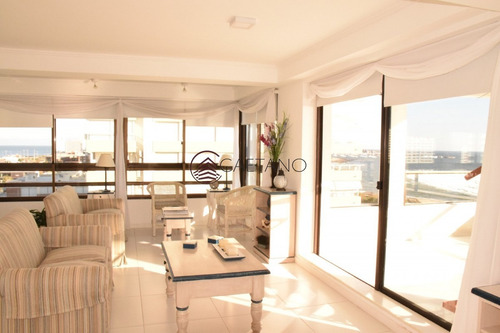 Primera Linea- Ref: 2534
