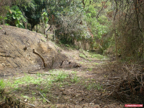 Imagen 4 de 12 de Venta De Terreno En San Jose De Los Altos Edo Miranda Rzxx