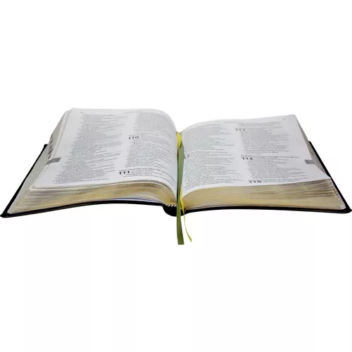 Bíblia Tradução Brasileira - Introduções Acadêmicas: Tradução Brasileira  (TB) - Couro sintético