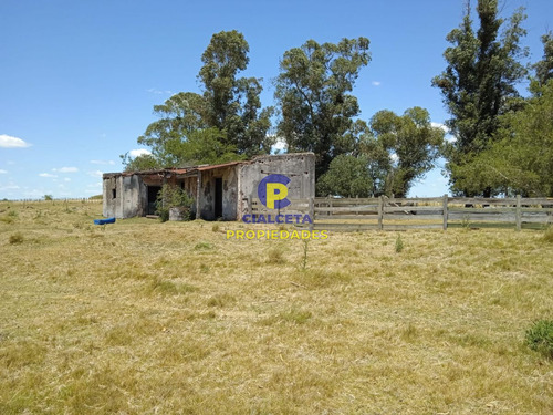 23 Hectáreas En Lavalleja Con Arroyo