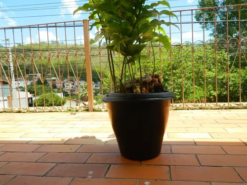 Vaso Para Flor Grande 15 Litros Preto 10 Unidades