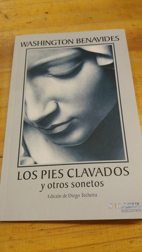 Libro Los Pies Clavados Y Otros Sonetos De Washington Benavi