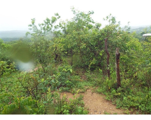 Lote Para Comprar No Pinhões Em Santa Luzia/mg - 3312