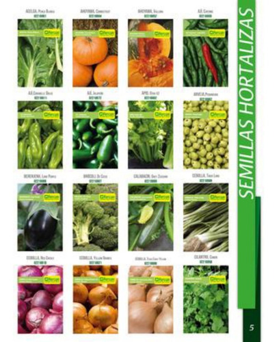 Imagen 1 de 10 de Kit 1000 Semillas Organicas 20 Variedades