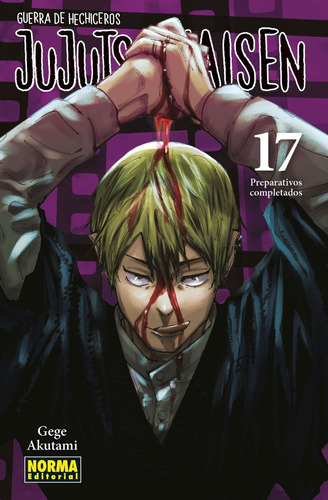 Jujutsu Kaisen #17