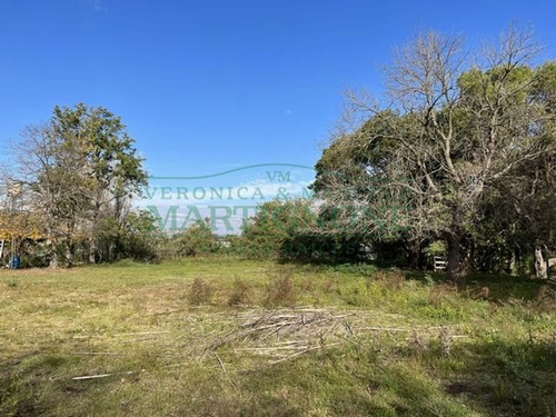 Imagen 2 de 8 de Terreno En Venta En 3216 M2 Fátima Manzanares Pilar