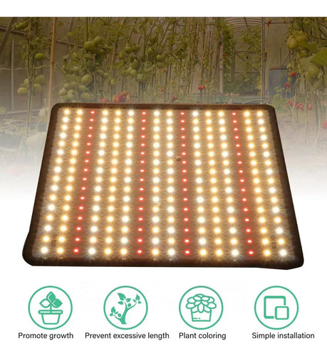 Para Ab Luz Planta Quantum Board 1000w Led Grow