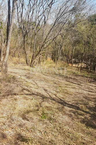 Imagem 6 de 9 de Terreno À Venda Em Joaquim Egídio - Te116312
