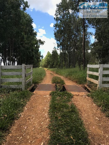 Imagem 1 de 15 de Fazendas À Venda Em Presidente Olegario/mg - Compre O Seu Fazendas Aqui! - 1430789