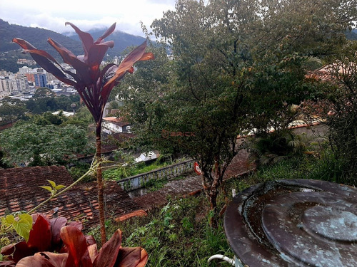 Imagem 4 de 8 de Terreno Com 300 M² Na Fazendinha - Teresópolis/rj. - Te00474 - 70812801