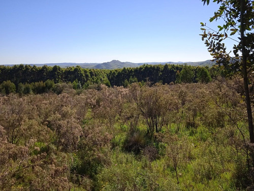 Vistas De Las Sierras, Chacras De 5 Hectáreas, Minas