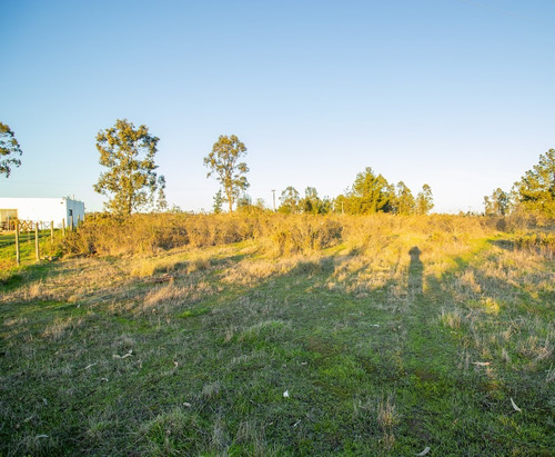 Parcela 5000 M2,rol Propio A Orilla Ruta A Tunquen