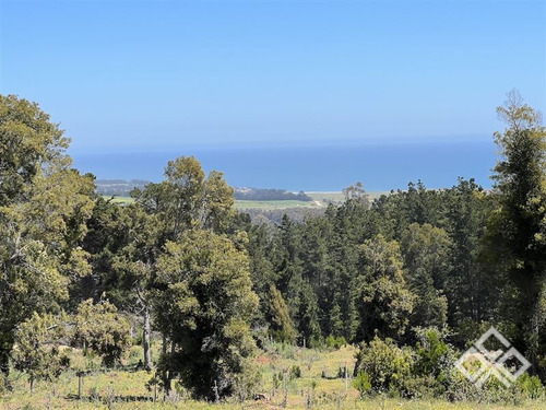 Sitio En Venta En Pichilemu