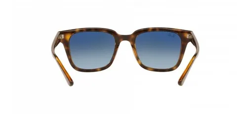 Lentes De Sol Ray-ban 0rb4323 710/q8 51