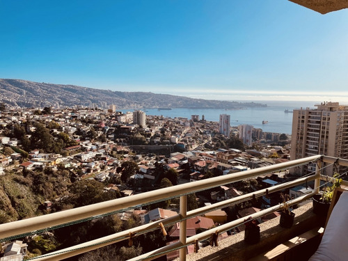 Imagen 17 de 29 de Excelente Departamento En C° Placeres, Valparaíso