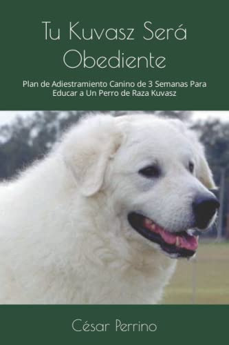 Tu Kuvasz Sera Obediente: Plan De Adiestramiento Canino De 3