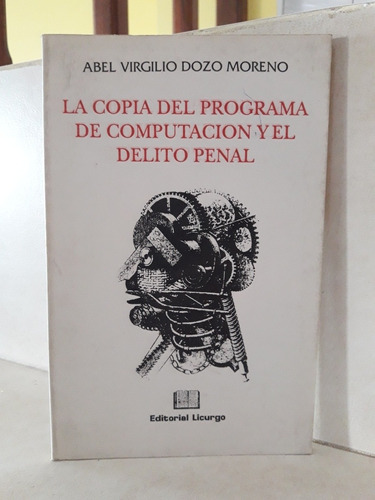 Derecho Copia Programa Computación Delito Penal. Dozo Moreno