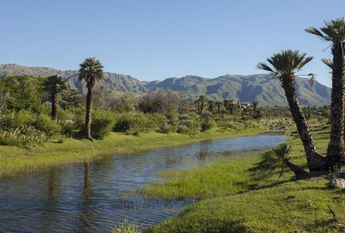 Terreno De 5000 M2 San Francisco Del Monte De Oro Dueño Vende