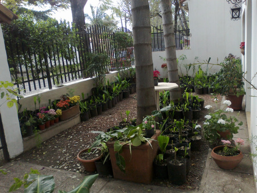 Villa Belgrano: Casa 3 Niveles Apta Uso Comercial