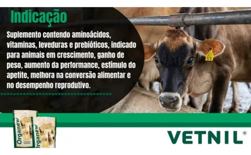 Organew 1kg Suplemento Probiótico + Prebiótico - Vetnil