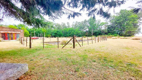 Imagen 22 de 26 de Venta Casa De Te - Vela - Tandil
