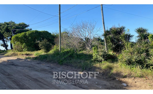 Venta De Lote En Ostende Calle Moreno