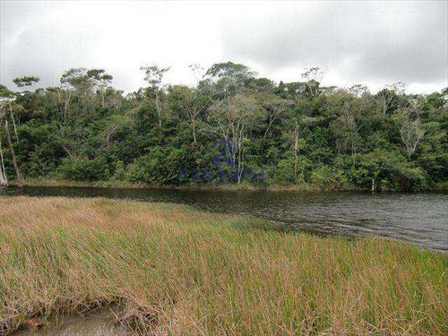 Imagem 4 de 13 de Fazenda Itacimirim (camaçari) - R$ 1.7 Mi, Cod: 22700 - V22700