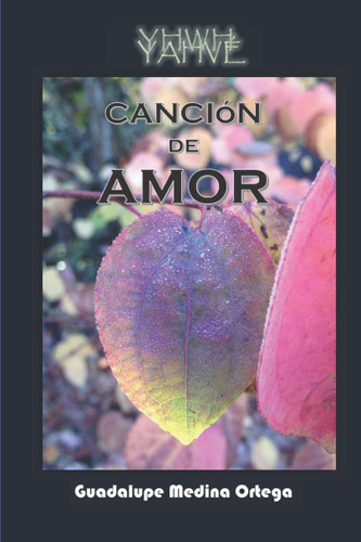 Libro:  Cancion De Amor (spanish Edition)