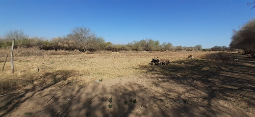 Imagen 5 de 14 de Se Vende Lotes En Piedra Pintada- Villa Dolores