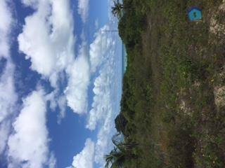Imagem 3 de 26 de Terreno Plano Em Meio A Natureza Com Vista Para O Mar - Te0418