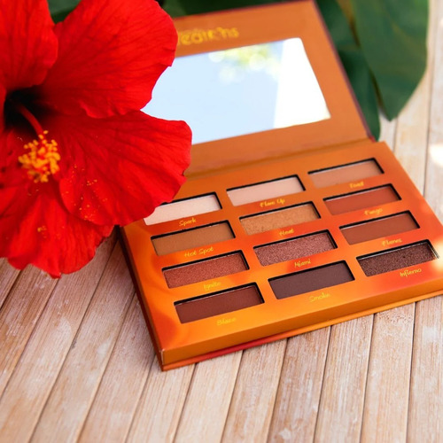 Imagen 6 de 7 de Paleta De Sombras Hot Fire Beauty Creations 12 Tonos
