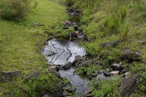 Imagen 4 de 20 de Venta Chacra Sierra Ruta 39 Aigua Sierra De Los Caracoles
