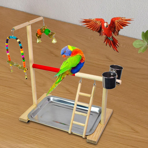 Soporte De Percha De Loro De Madera Fácil De Instalar