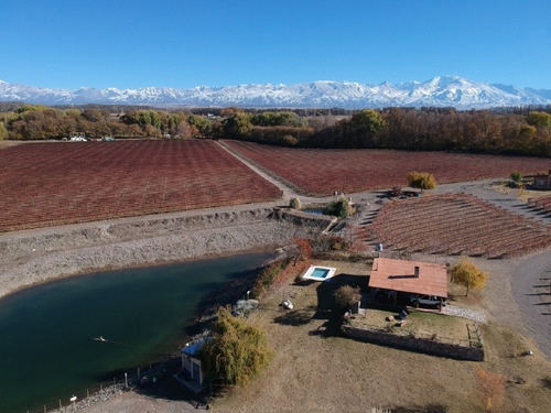 Imagen 21 de 30 de Cabaña Del Alto Tupungato Valle De Uco Mendoza Casa De Campo