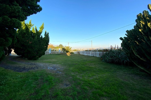 Imagem 3 de 30 de Casa À Venda Em Xangri-lá - Ca01479 - 69891076