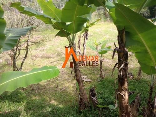 Imagem 27 de 30 de Chacara - Ch00120 - 70787182