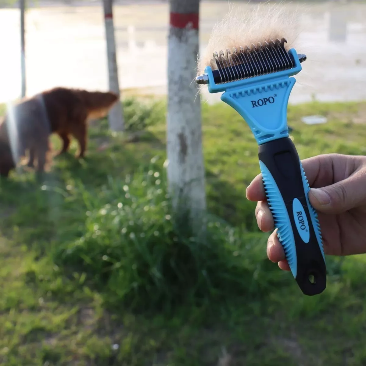 Tercera imagen para búsqueda de cepillo para perros