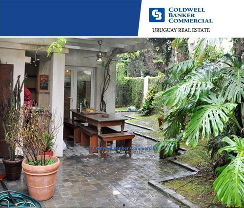Oficina Alquiler Parque Rodó Barrio Jardín