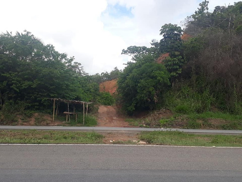 Imagem 3 de 10 de Área Em Centro, Cabo De Santo Agostinho/pe De 21000m² Para Locação R$ 3.000,00/mes - Ar562808-r