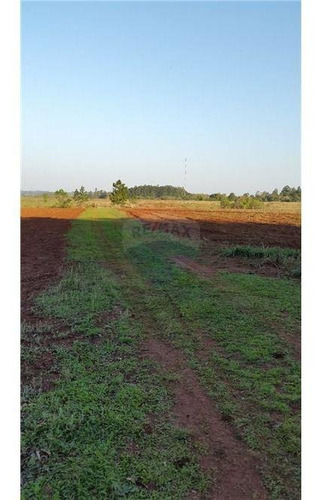 Imagen 4 de 14 de Vendo Casa Quinta En Carmen Del Paraná: 12 Hectáreas Y Media