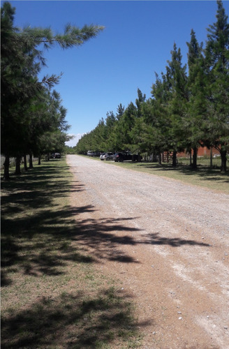 Hermoso Lote En Barrio Casuarinas De Garibaldi, 1500 M2, 641 Y 119