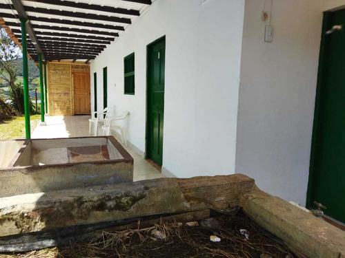 Imagen 6 de 30 de Linda Finca En Venta En La Vereda Betania Del Carmen De Viboral.